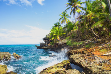 Fototapeta na wymiar Wild tropical rocky shore, bay, lagoon. Sea stormy Splash, Green palm trees on the rocks. Las Galeras, Samana, Dominican Republic