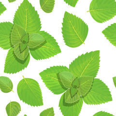 Fresh mint vector seamless pattern