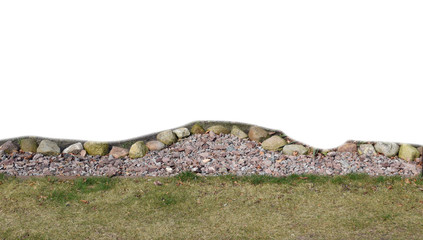 isolated plant on white