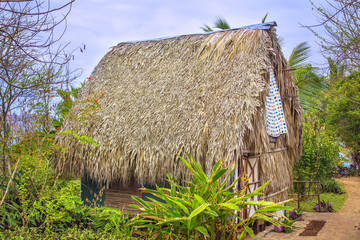 Fototapeta na wymiar Traditional bure with thatched roof. Dominican republic