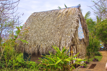 Fototapeta na wymiar Traditional bure with thatched roof. Dominican republic