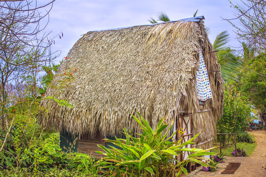 Traditional bure with thatched roof.  Dominican republic