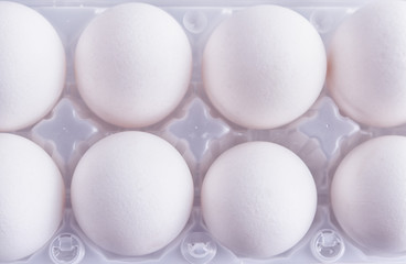 Closeup of white eggs in a rows