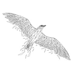 Seagull cat animal low poly design. Triangle vector illustration.