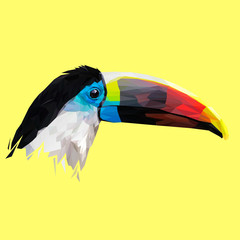 Toucan bird animal low poly design. Triangle vector illustration.