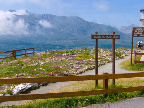 botanical garden,mont cenis,lanslevillard,savoie,france