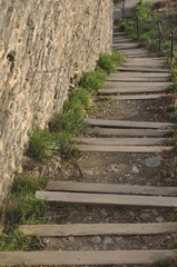 Treppe im Weinberg