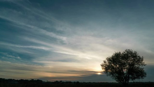 Timelapse of a growing tree on field with dramatic sunset sky