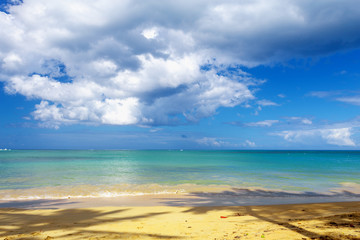 Paradise on Earth. Caribbean empty sandy beach. 