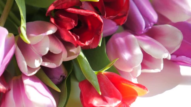 Colorful tulips in white vase standing on table in living room. Close-up of a bouquet of tulips on a light background. Beautiful bouquet of colorful tulips. Macro shot. Spring time, Happy Mothers Day