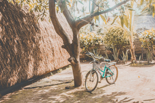 blue bicycle by tree on gilli island