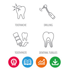 Toothpaste, dental tubules and toothache icons. Drilling tool linear sign. Award medal, growth chart and opened book web icons. Download arrow. Vector