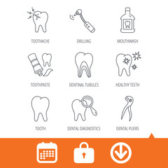 Tooth, stomatology and toothache icons. Mouthwash, dental pliers and diagnostics linear signs. Dentinal tubules, drilling icons. Download arrow, locker and calendar web icons. Vector