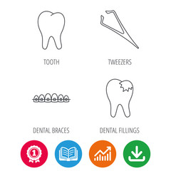 Dental braces, fillings and tooth icons. Tweezers linear sign. Award medal, growth chart and opened book web icons. Download arrow. Vector
