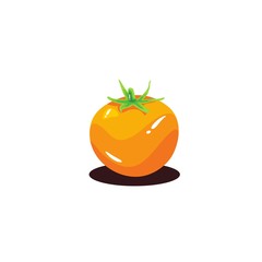 resh realistic Tomatoes vector illustration