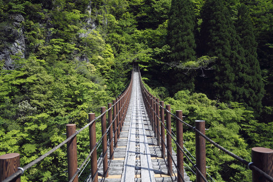 Momiki Suspension Bridge of Gokasho