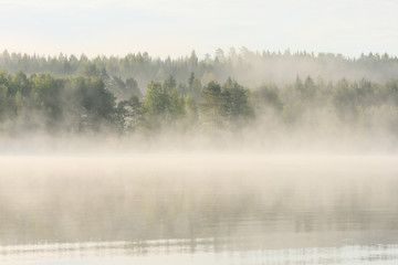 Fototapeta na wymiar Foggy forest and lake at dawn 