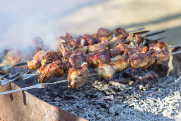 Georgian Food Mtsvadi, BBQ on Stick