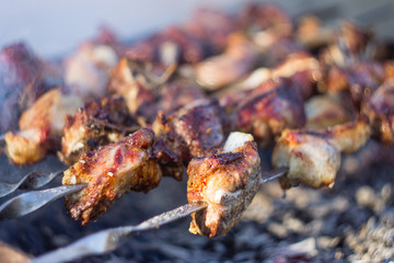 Georgian Food Mtsvadi, BBQ on Stick