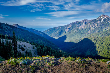 View from Hurricane Ridge, Olympic National Park