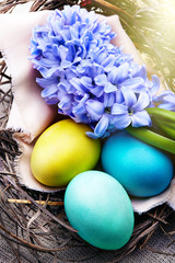 Colorful easter eggs in a nest on wooden background