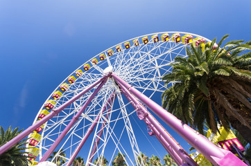 Fototapeta premium Colorful Ferris wheel