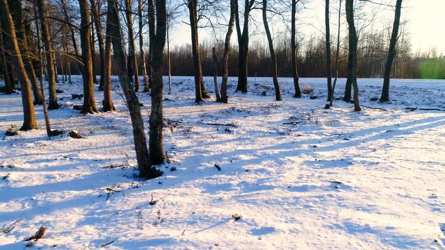 13046_Closer_look_of_the_thick_white_snow_on_the_ground.mov