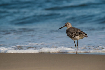 Standing in the Waves