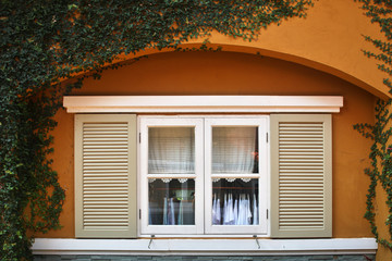 White arch window with tree on the wall