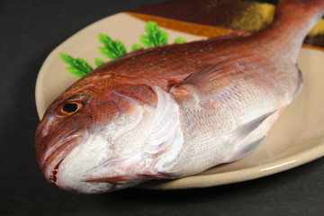 真鯛