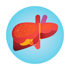 Liver Icon Health World Day Global Holiday Banner Flat Vector Illustration