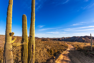 Rough dirt road through Table Mesa recreation area and Bradshaw Mountains  in the Arizona desert north of Phoenix late on a Winter afternoon