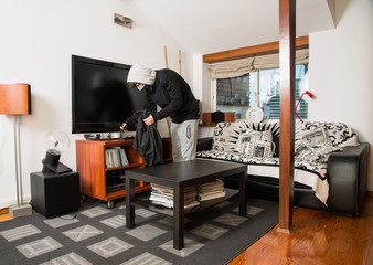 burgler robbing a house