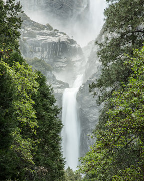 Forest Waterfall