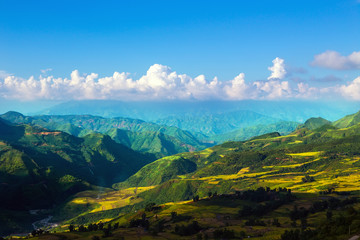 Obraz premium Terraced rice fields in Vietnam