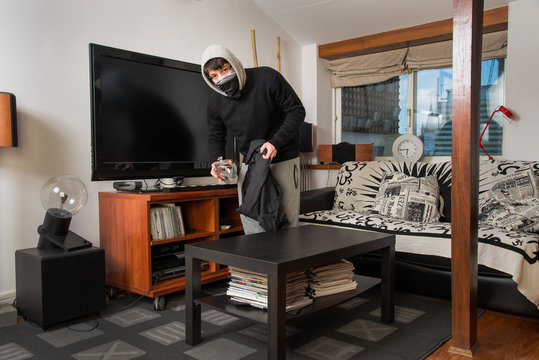 burgler robbing a house