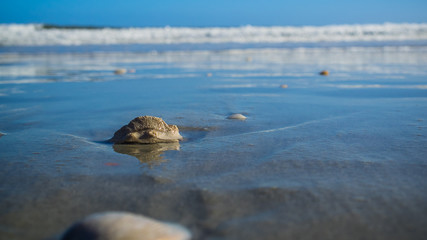 Relaxing On The Beach