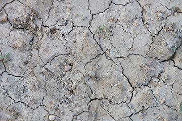 cracked clay ground into the dry season, earth without rain. background