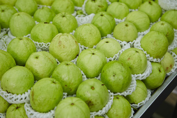 Guava 