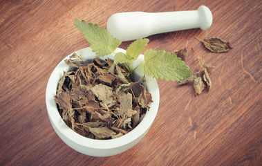 Vintage photo, Fresh green and dried lemon balm with mortar, herbalism, alternative medicine