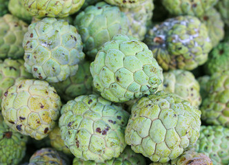 custard apple fruit