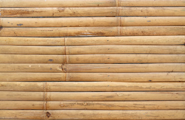 bamboo background