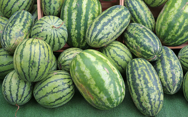 A lot of big sweet green organic ripe watermelons in the farmers Market in thailand, Asia. Nutrition And Vitamins. Healthy Raw Diet Food.