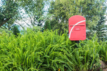 red post box in green forest
