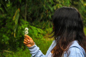 Girl blowing flower seeds 