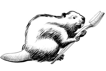 Beaver with a tooth brush © berdsigns