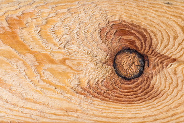 Fototapeta na wymiar Texture of wood planks bitch. Close up