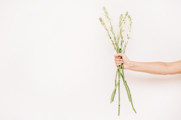 Girl's hand holding white flowers bouquet on white background. Flat lay, top view.