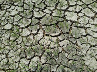 Background soils dry