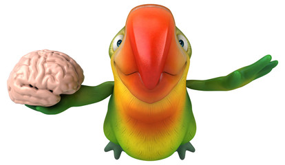 Fun parrot